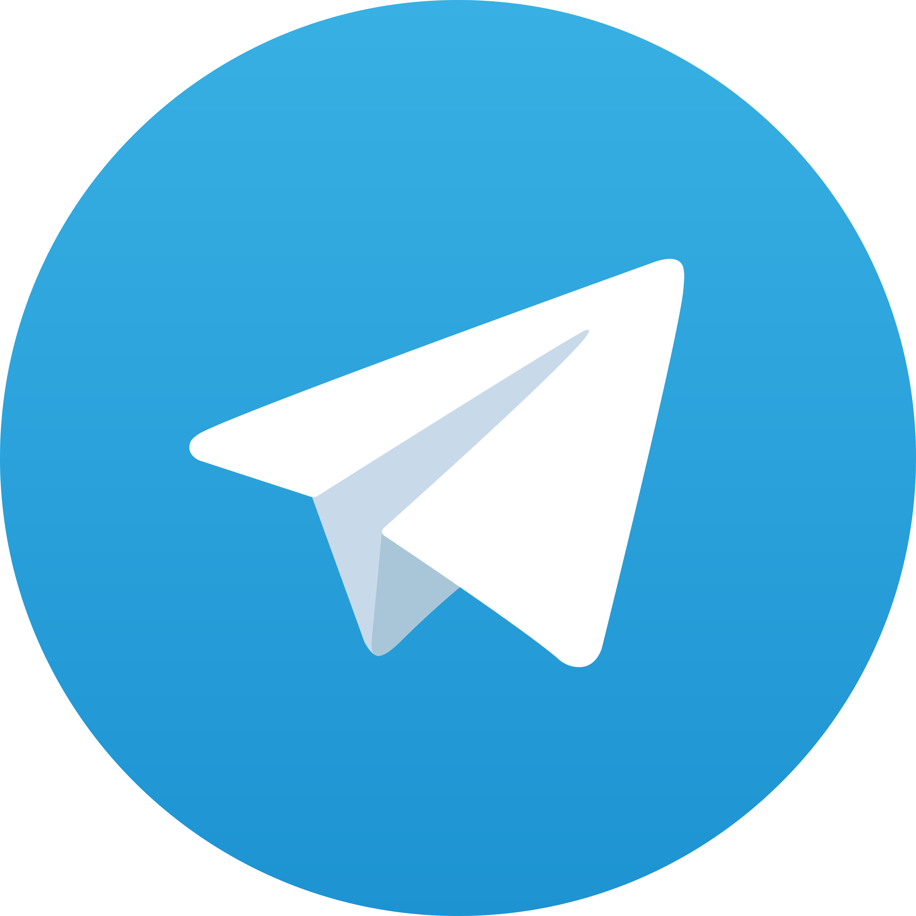 Telegram APINAGA33